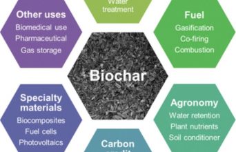 Biochar